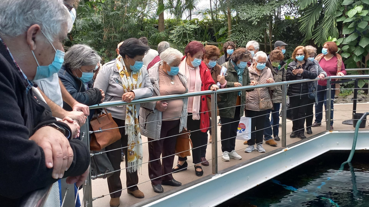 População sénior em visita ao Oceanário de Lisboa